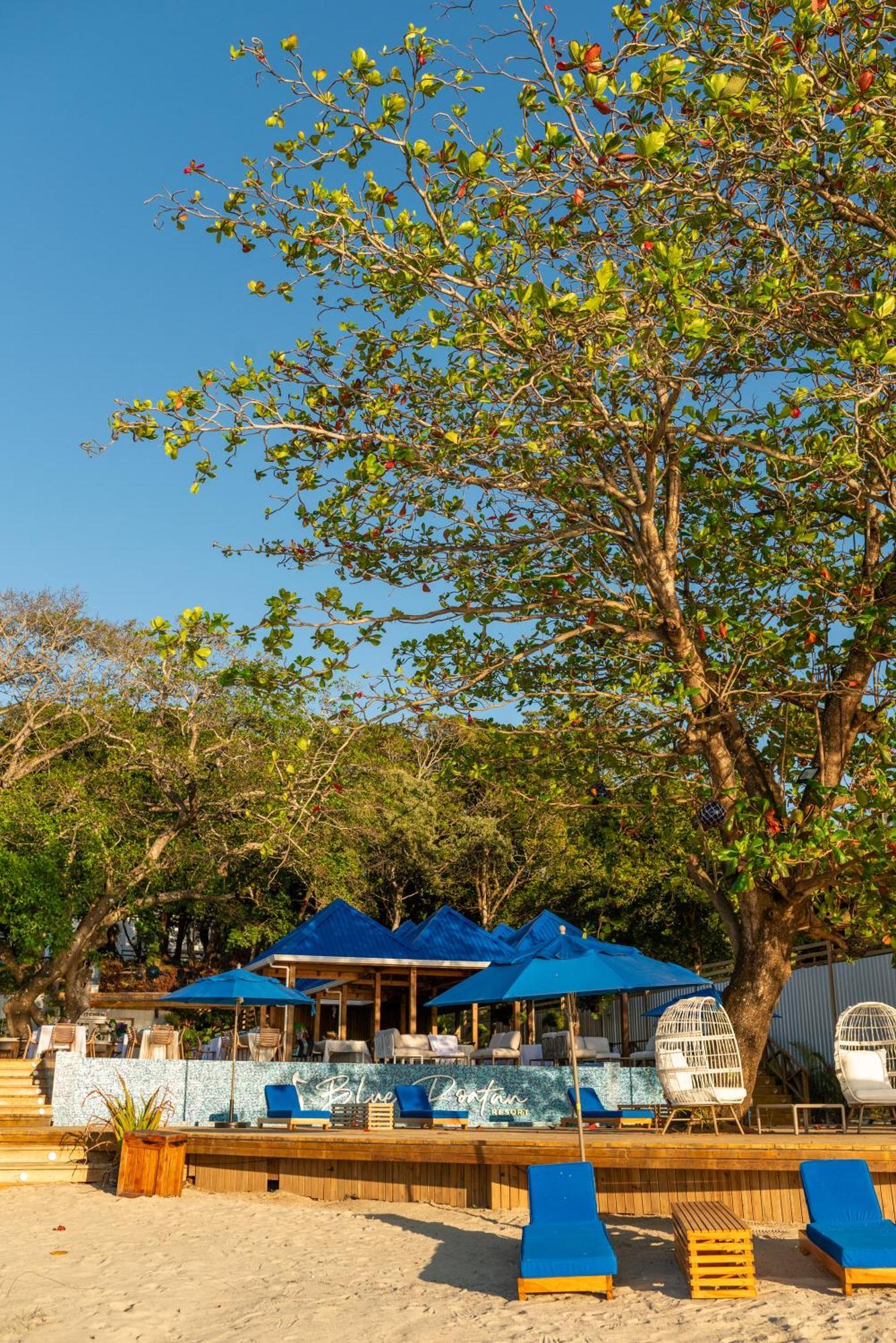 Blue Roatan Resort West Bay Ngoại thất bức ảnh