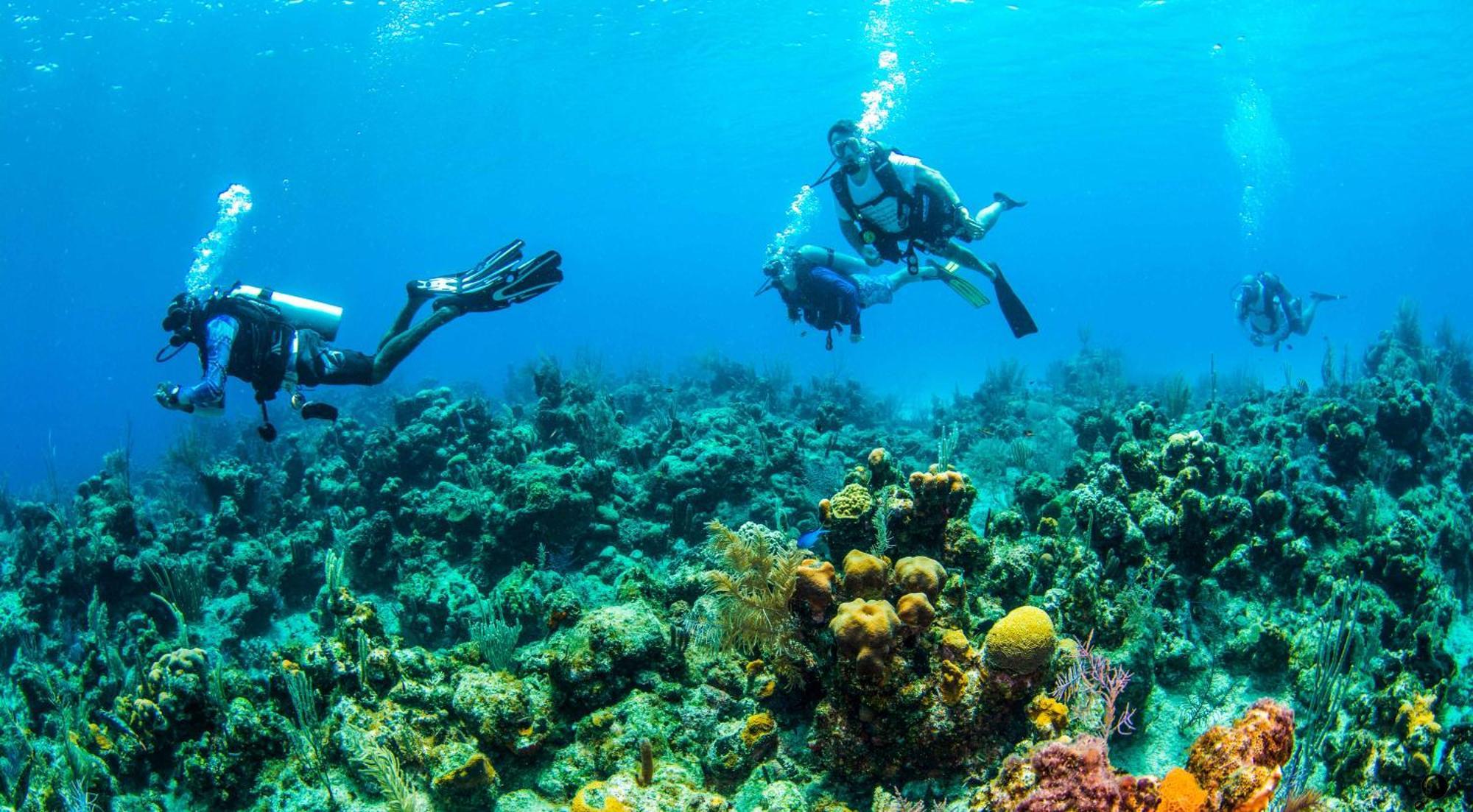 Blue Roatan Resort West Bay Ngoại thất bức ảnh