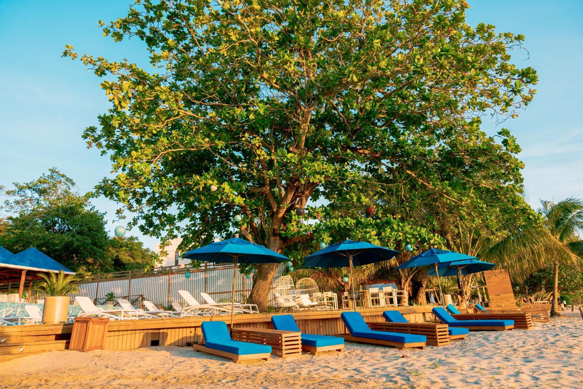 Blue Roatan Resort West Bay Ngoại thất bức ảnh